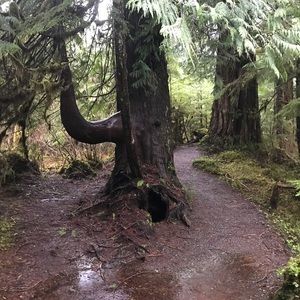 Meet your Posher, Rosie